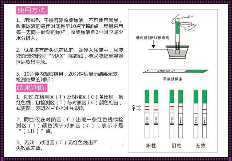 排卵试纸用法图解：深入了解排卵过程