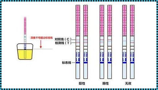 排卵检测试纸正确使用方法