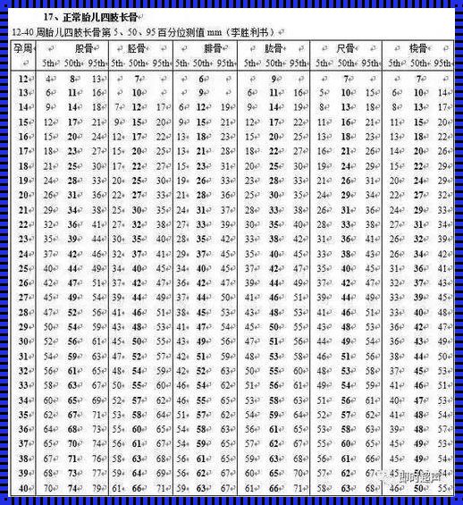 24周胆囊大小对照表：解读与探究