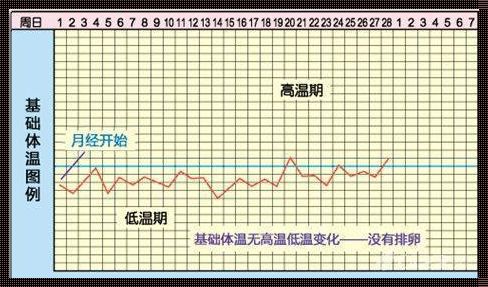 基础体温测排卵曲线图：揭秘女性生育奥秘