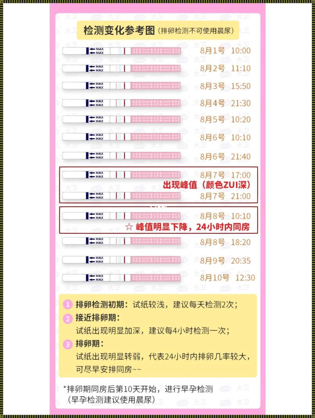 排卵期怎么使用排卵试纸