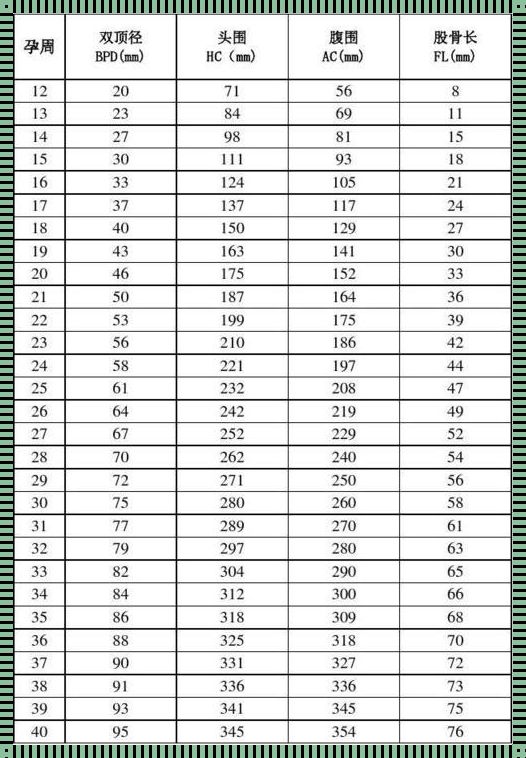 34周胎儿数据对照表：惊艳之旅