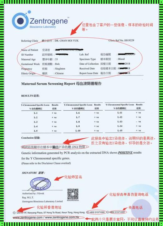 怀孕5周做DNA性别检测准确吗