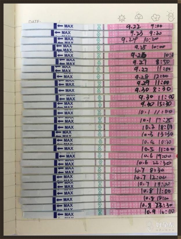 排卵试纸强阳一般持续几天：深入了解排卵过程