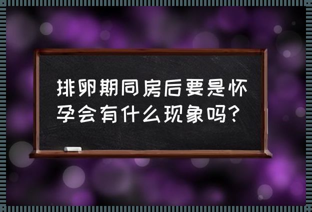 排卵期内同房会怀孕吗？深入了解这个敏感话题