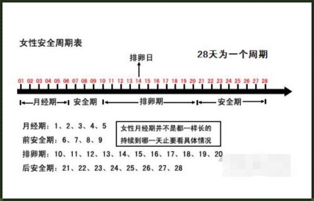 排卵的时间是多久：深入了解女性生殖系统的奥秘