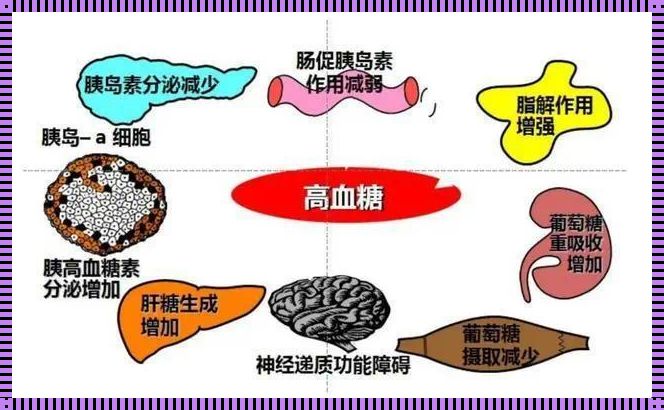 高血糖对胎儿的影响：一个母亲的担忧