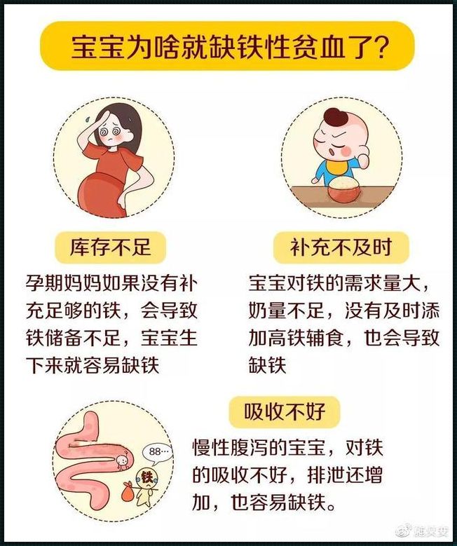 怀孕中度贫血对胎儿有影响吗？深入解析与胎儿健康的关系