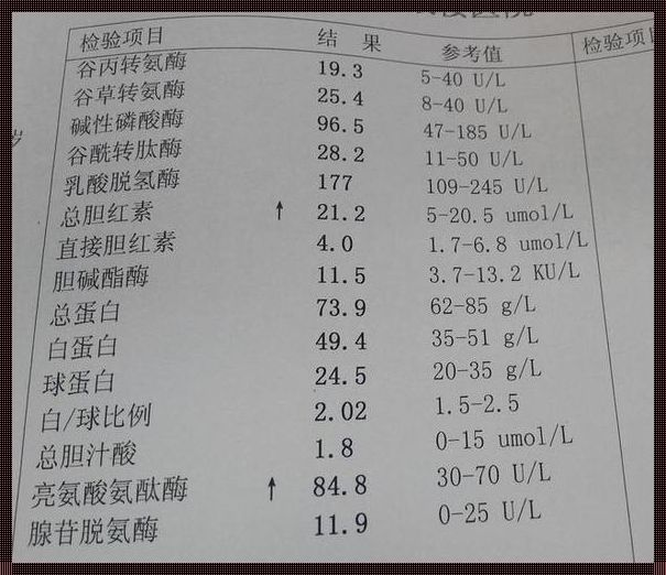 揭开肝炎检查的神秘面纱：哪些项目可以发现