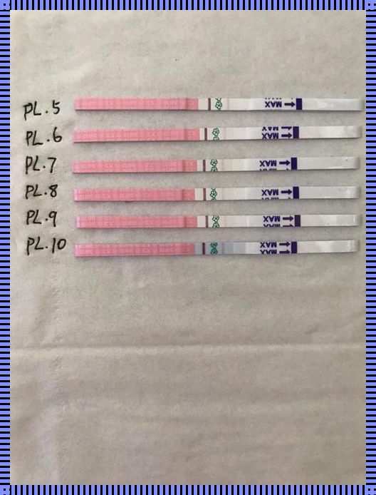 排卵期试纸阴性会怀孕吗？揭秘