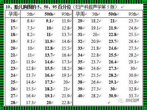 胎儿腹围285mm相当于多少周