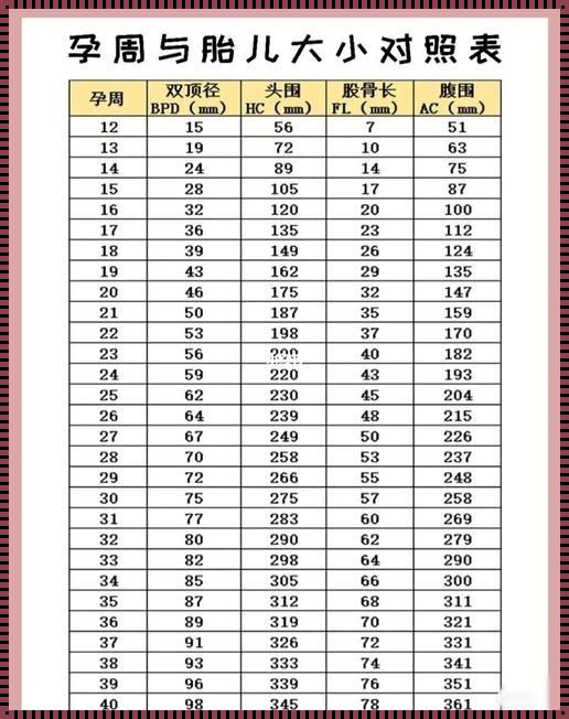 胎儿实际孕周计算公式：探索与分享