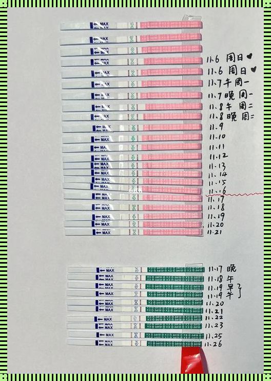 排卵纸和早孕纸区别：了解你的身体