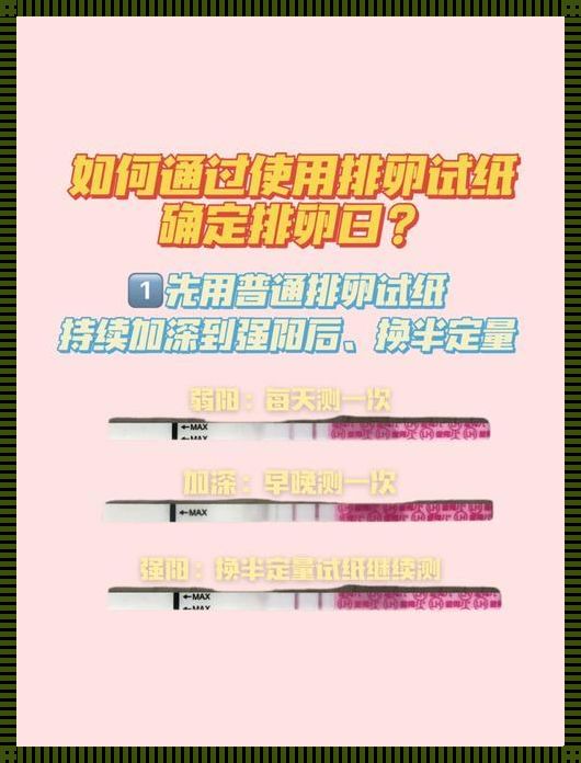 排卵试纸避孕可以吗？探寻自然避孕的有效性与便捷性