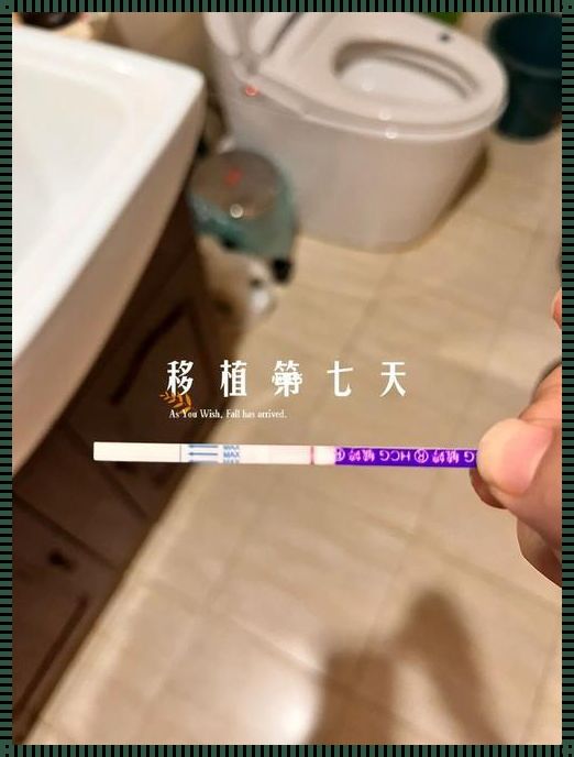 着床成功1到7天的感觉：一场悄无声息的变革