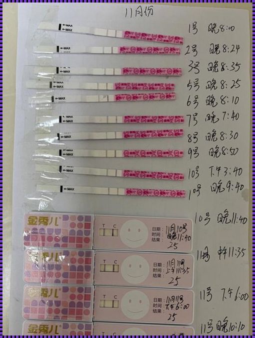 半定量45排卵还是25：探究女性生育力的密码