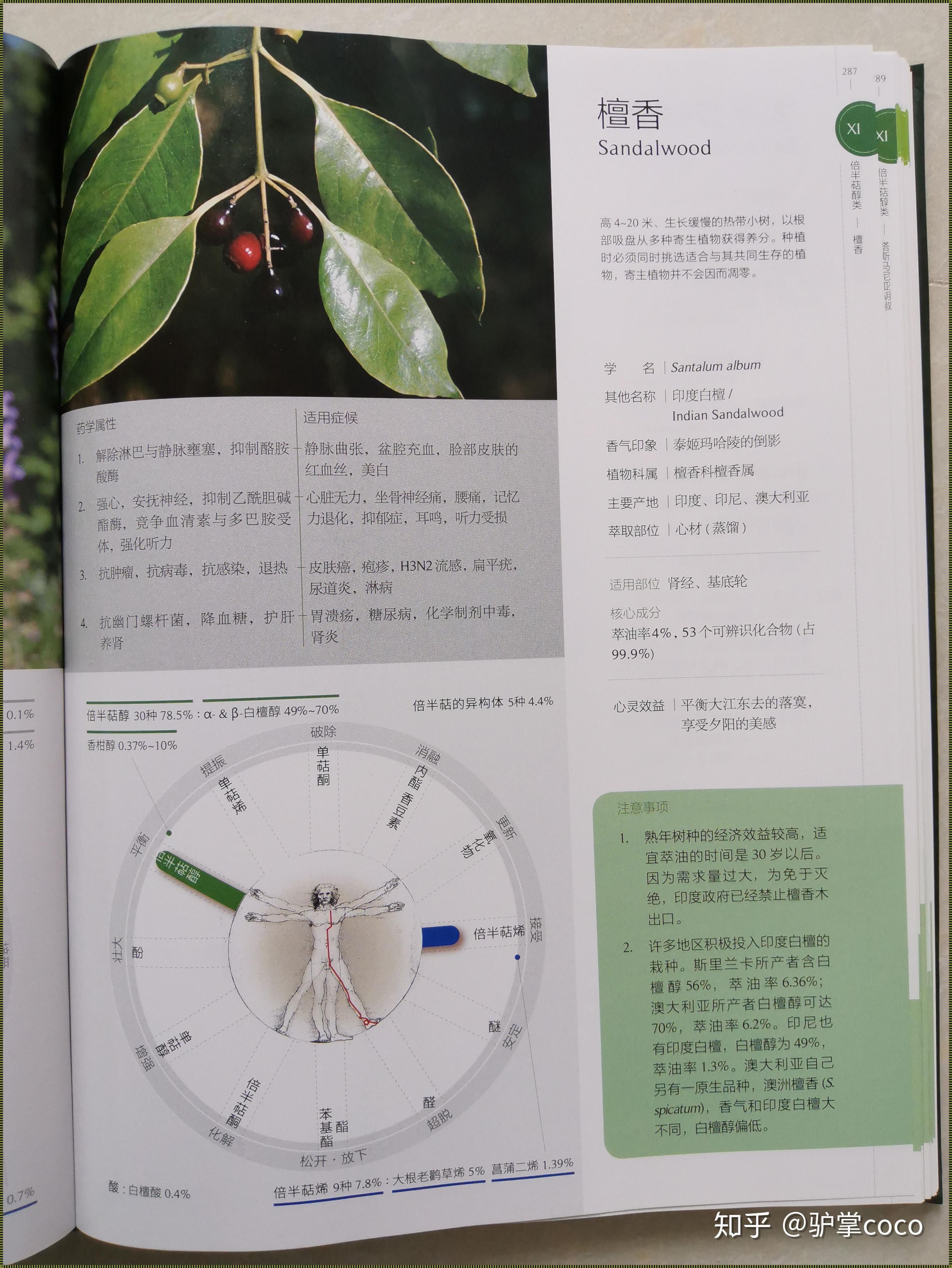 檀香精油壮阳用法探究