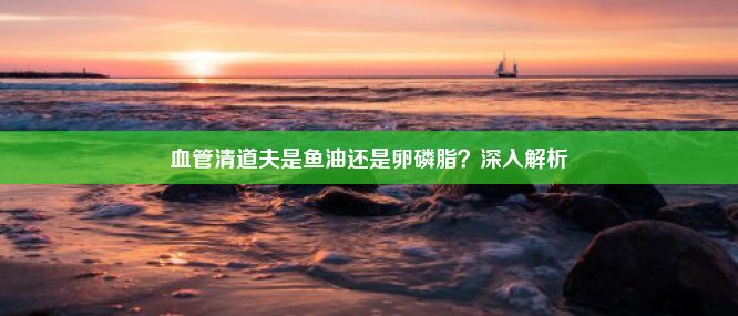 血管清道夫是鱼油还是卵磷脂？深入解析