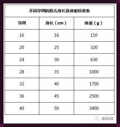 宝宝体重预测：揭秘惊人真相