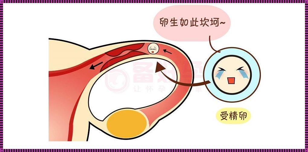 之前生过孩子输卵管会不会堵塞：揭秘