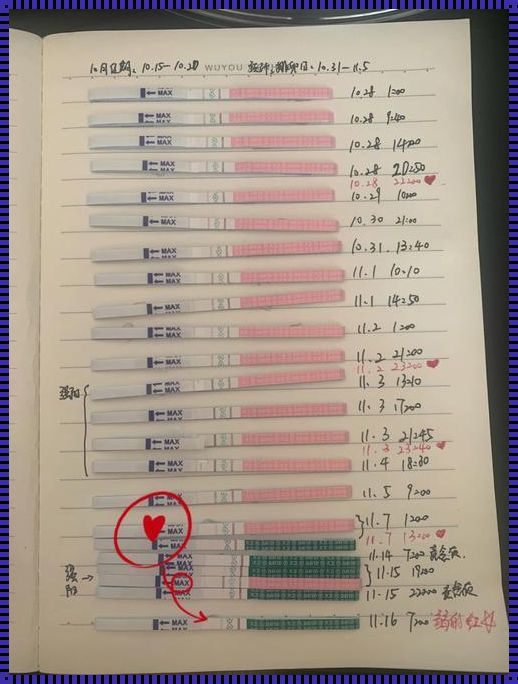 排卵日一次就中生男孩：几率与影响