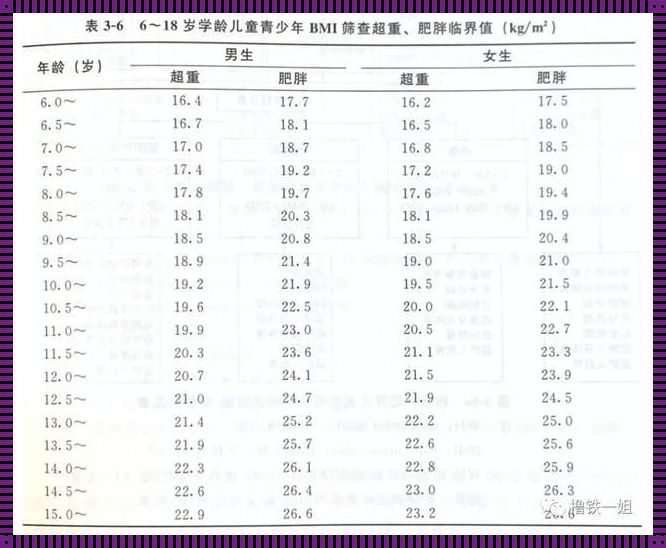 儿童体脂率怎么计算器