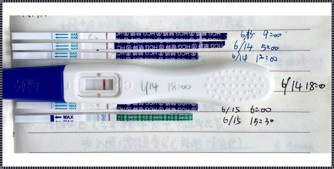 排卵试纸什么时候测合适