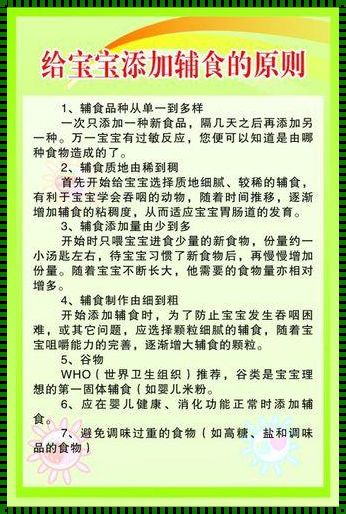 婴儿辅食添加的原则：呵护宝宝健康成长的关键