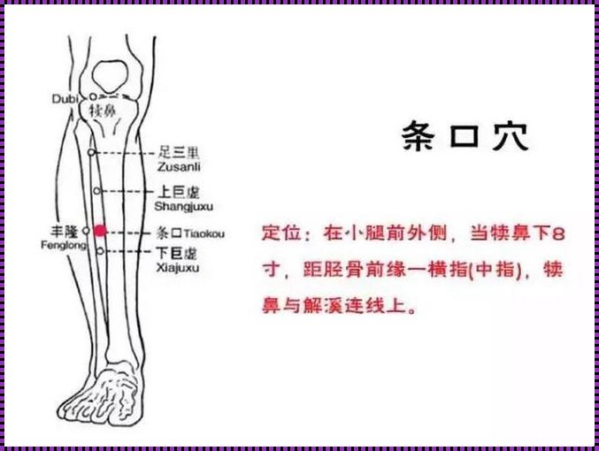 颈肩的拼音：探索与体验