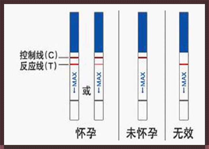 测怀孕挂什么科：关注女性健康的每一步