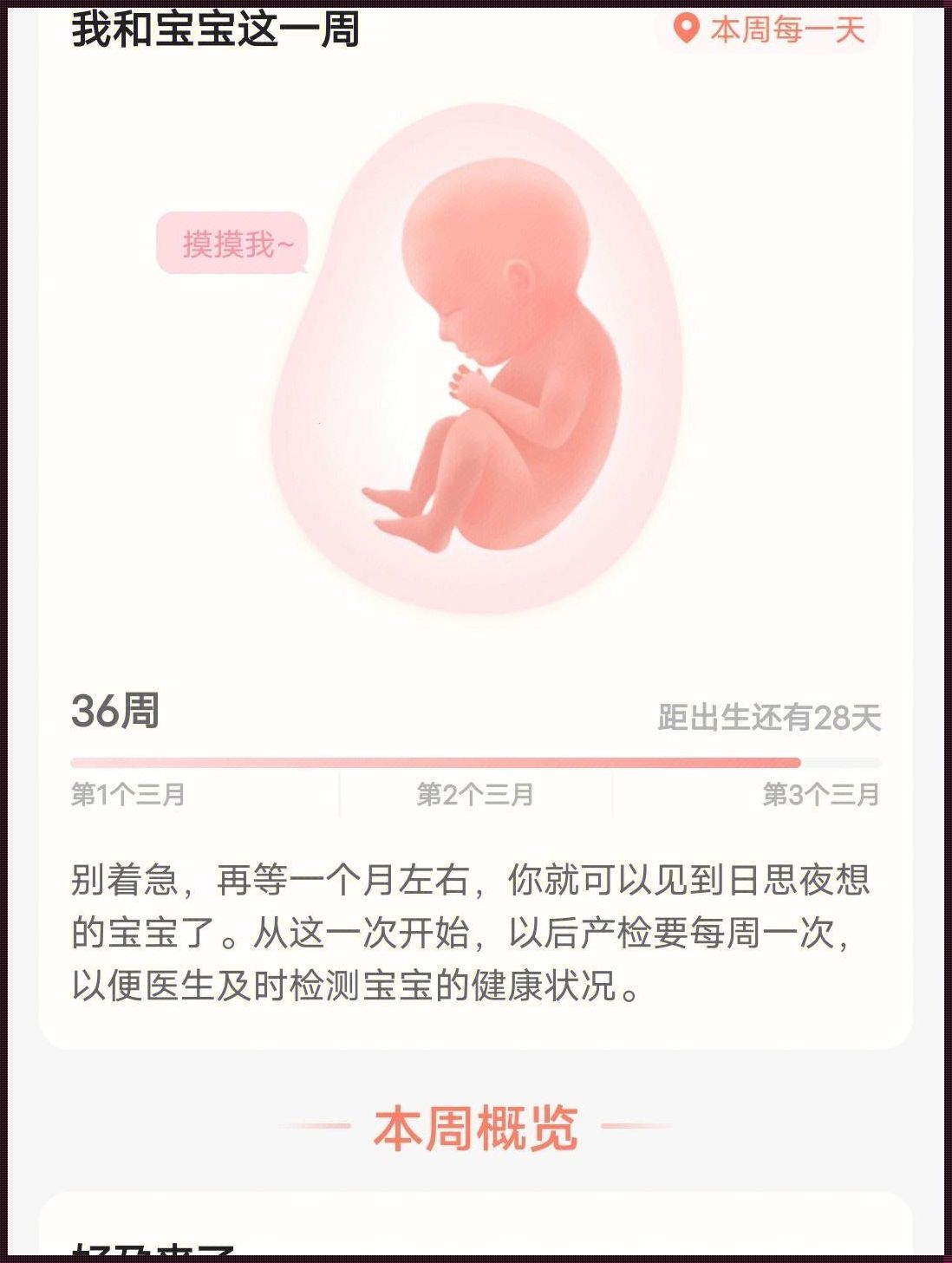 孕36周孩子大小对照表：关注宝宝成长的重要参考