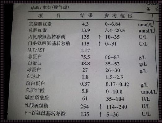 肝功五项指标偏高：揭开神秘面纱