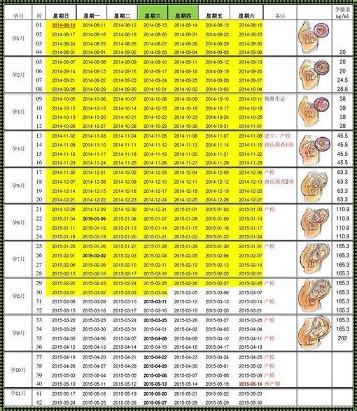 胎儿数值对照表：揭秘生命之初的奇妙旅程