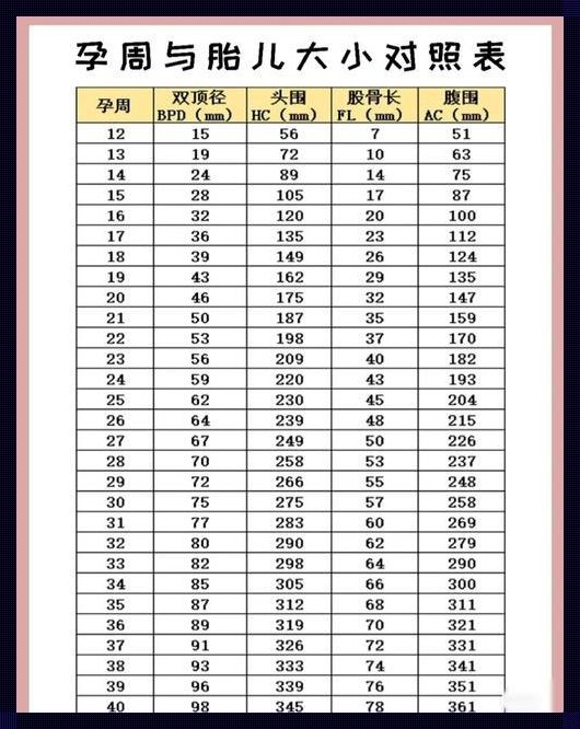 胎儿比实际孕周大一周：惊喜还是担忧？