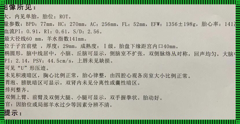 31周fl60mm算短腿吗：探索与解析