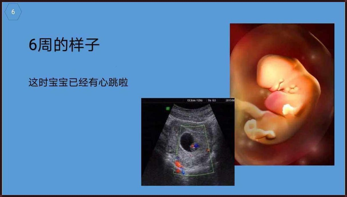 怀孕多久胎儿有心跳：生命奇迹的起点