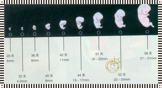 怀孕45天怎么打掉最安全