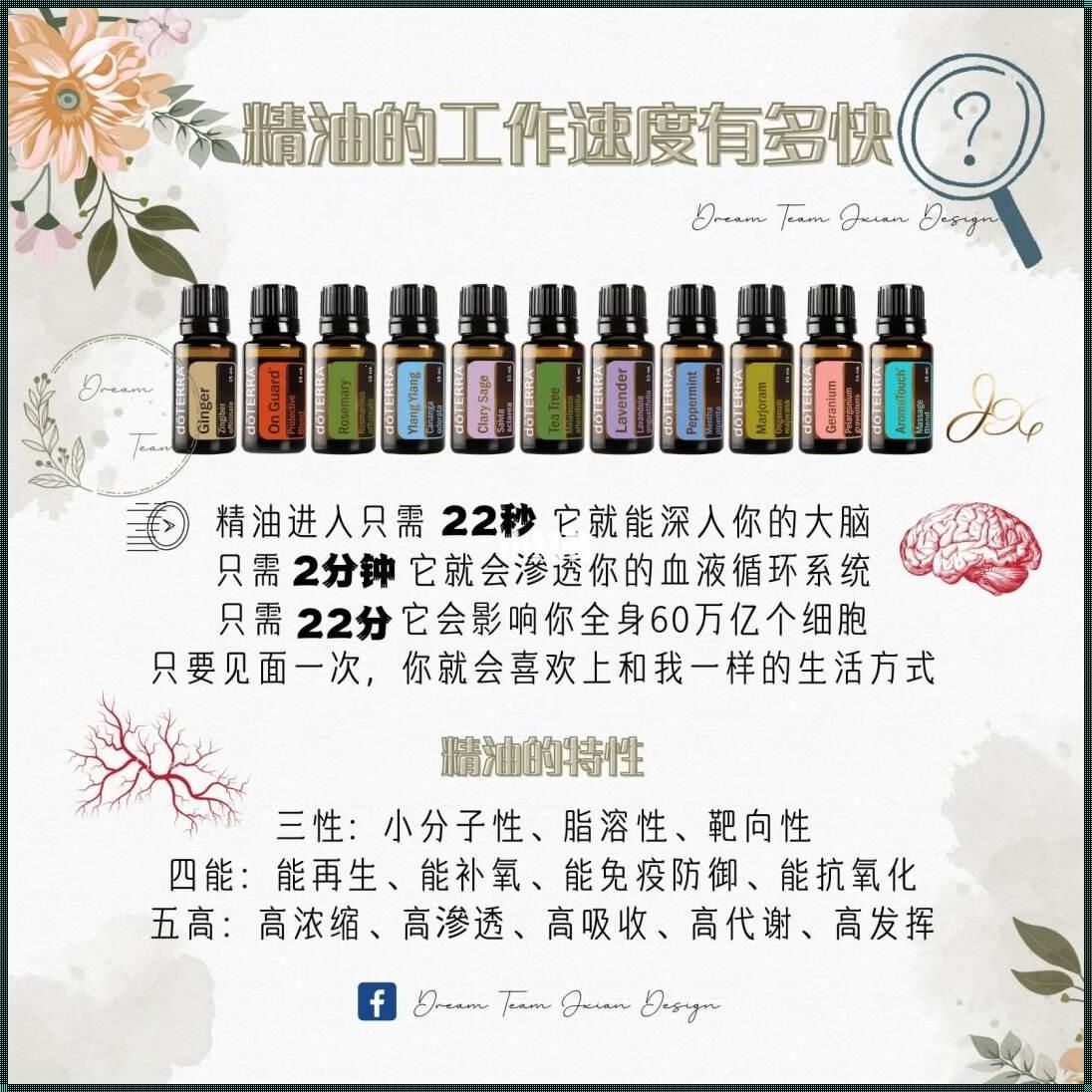 精油的三性四能五高：探索自然界的珍贵礼物