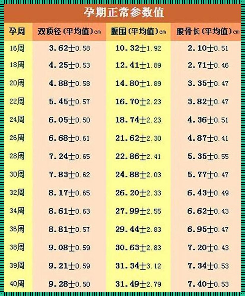 全面解析：1—40周胎儿体重表的奥秘