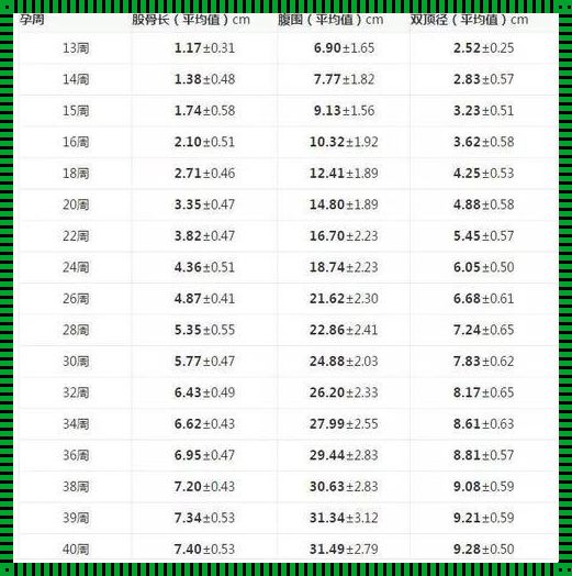 孕28周股骨55个子高吗：我的心得体会