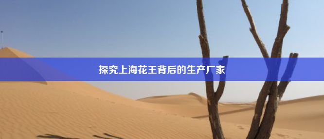 探究上海花王背后的生产厂家