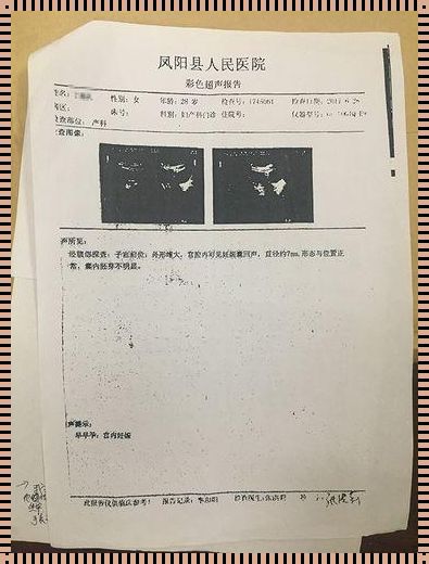 怀孕B超单怎么看？揭秘宝宝成长过程中的神秘代码