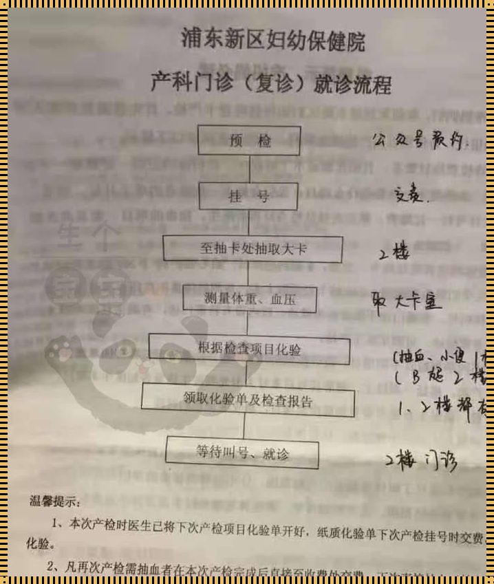 怀孕几个月去医院做产检：关注母婴健康，倾听心声