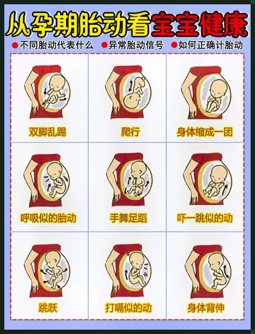 怀孕几周能感觉到胎动：探索生命奇迹的神秘面纱