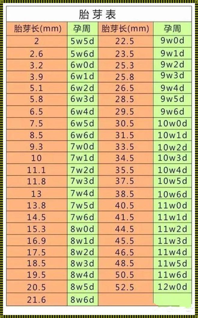 怀孕天数的计算方法：探索与规划