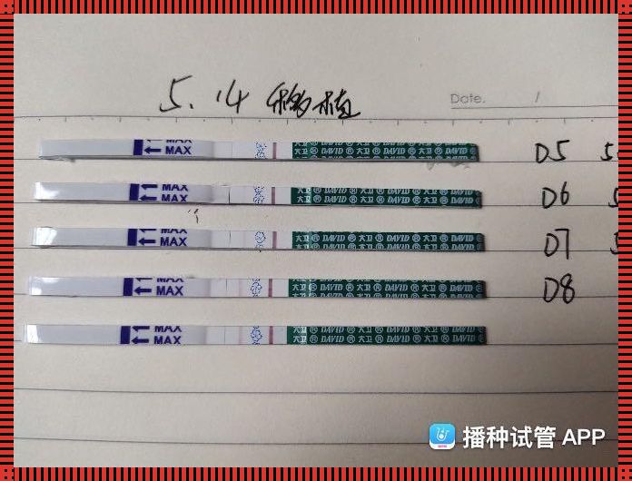 试管移植后几天能用试纸测出怀孕：探索与期待