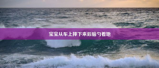 宝宝从车上摔下来后脑勺着地