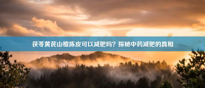 茯苓黄芪山楂陈皮可以减肥吗？探秘中药减肥的真相