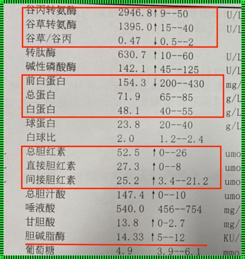 化验肝功多少钱一次：深入解析费用背后的秘密