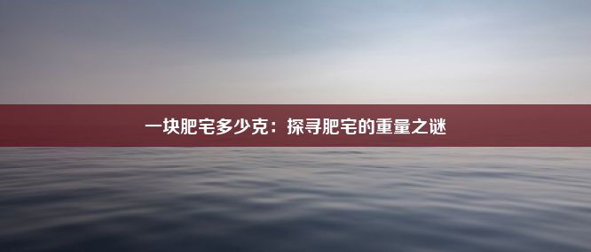 一块肥宅多少克：探寻肥宅的重量之谜